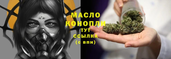 гашик Снежногорск