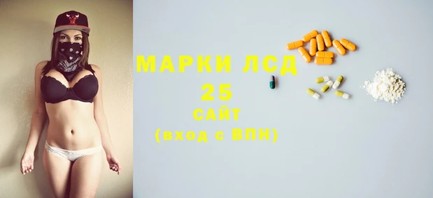 гашик Снежногорск