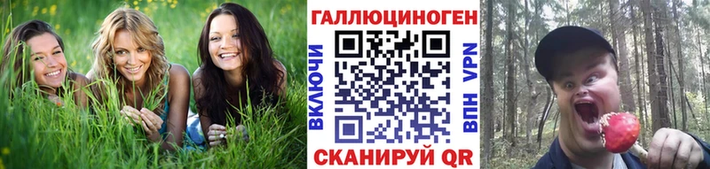 закладка  Кораблино  Псилоцибиновые грибы ЛСД 